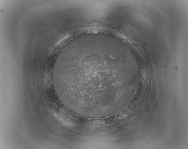 X0000076301446200609291023