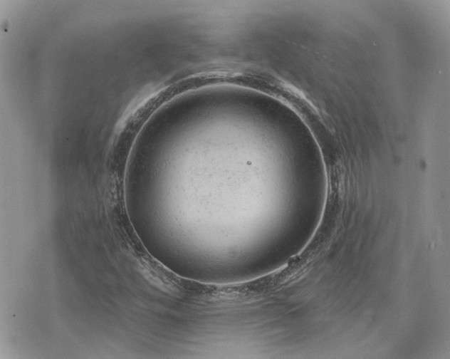 X0000076301448200609291023