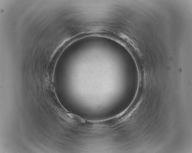 X0000076301449200609291023