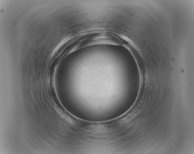 X0000076301450200609291023