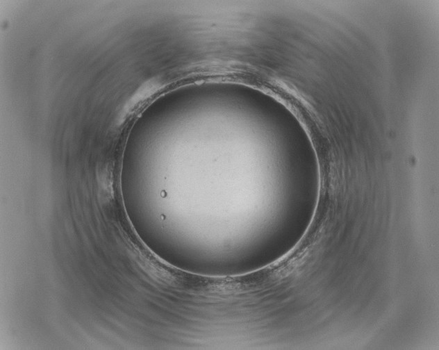 X0000076301451200609291023