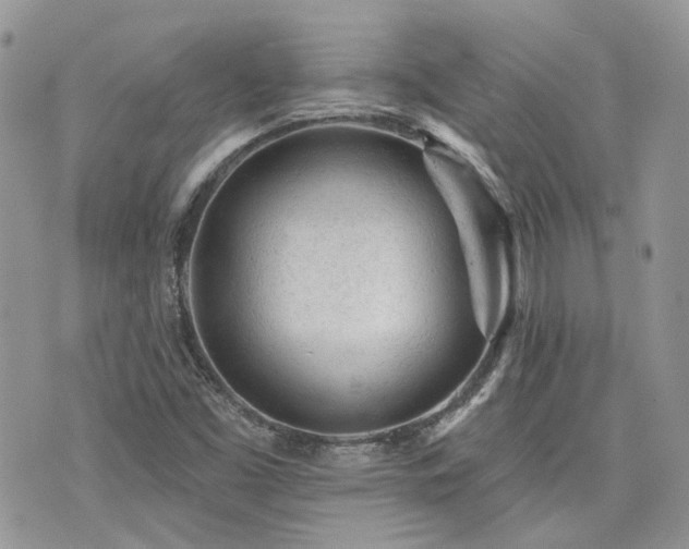 X0000076301453200609291023