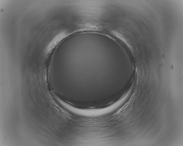 X0000076301455200609291023