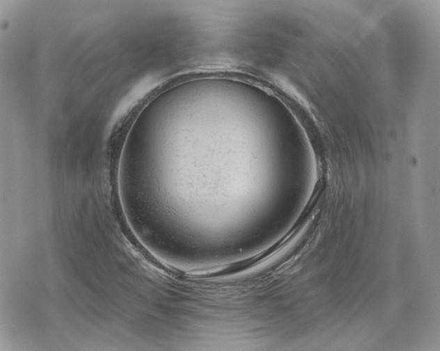 X0000076301456200609291023