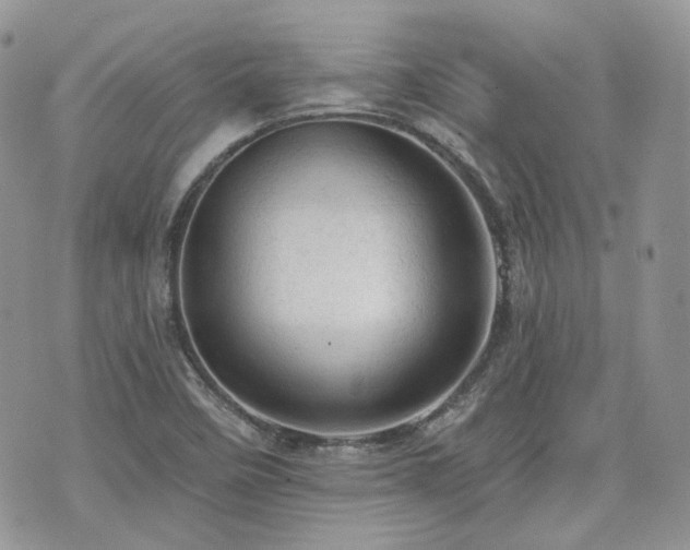 X0000076301458200609291023