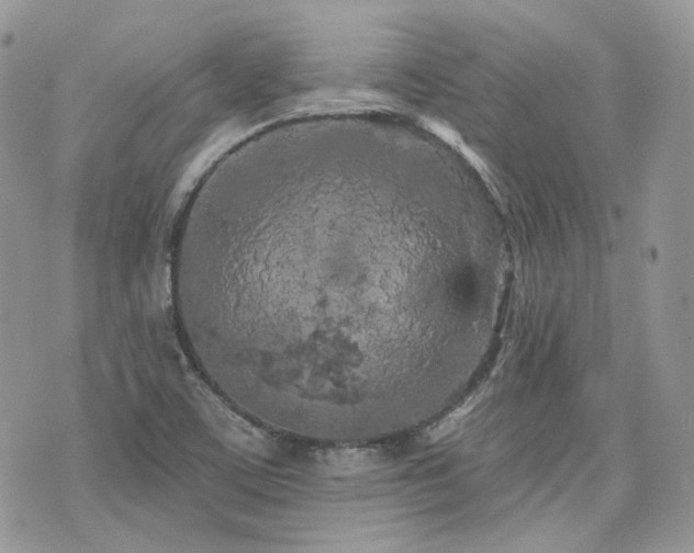 X0000076301459200609291023