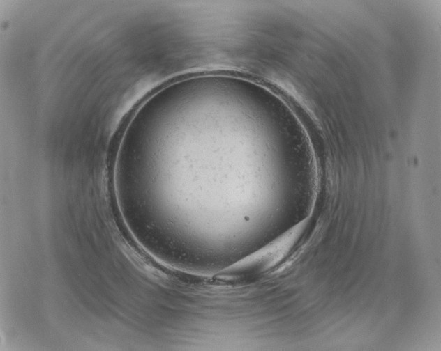 X0000076301460200609291023