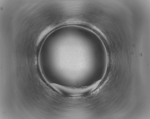 X0000076301461200609291023