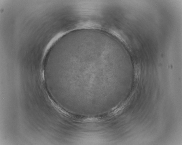 X0000076301462200609291023