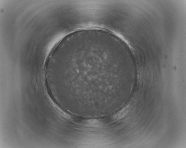 X0000076301463200609291023