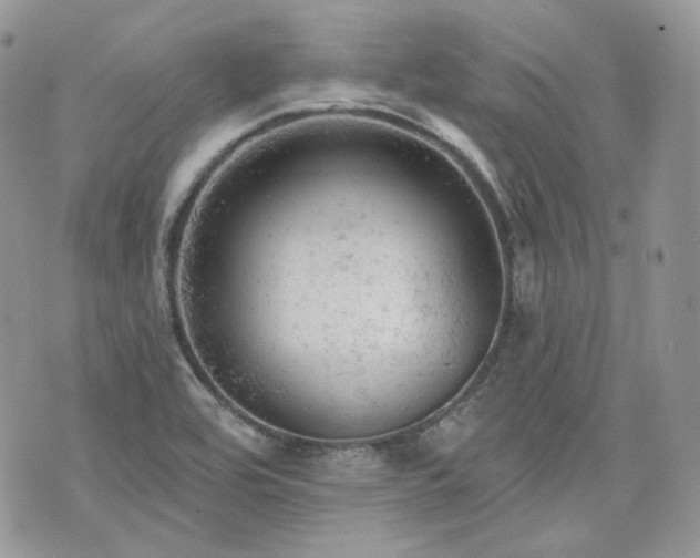 X0000076301464200609291023