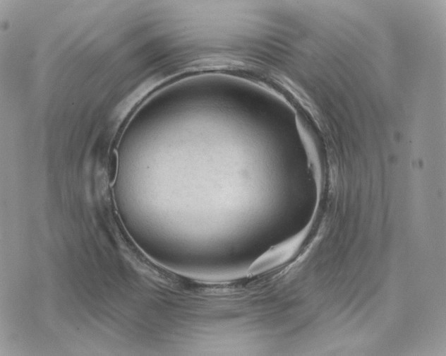 X0000076301465200609291023