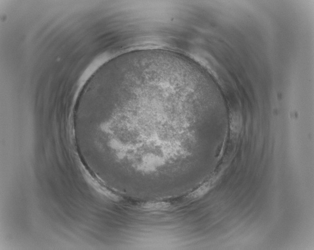 X0000076301466200609291023