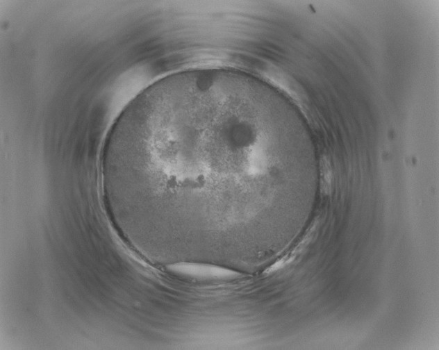 X0000076301467200609291023