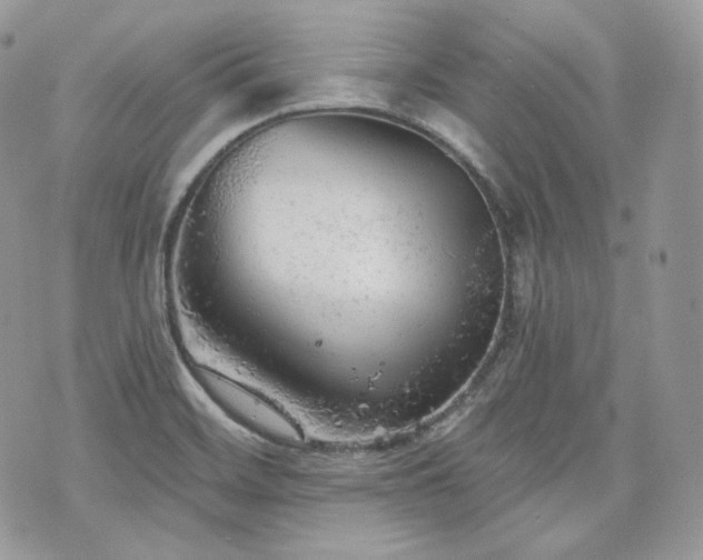 X0000076301468200609291023