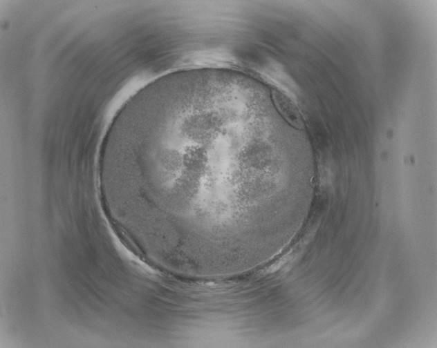 X0000076301471200609291023