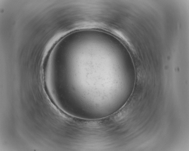 X0000076301472200609291023