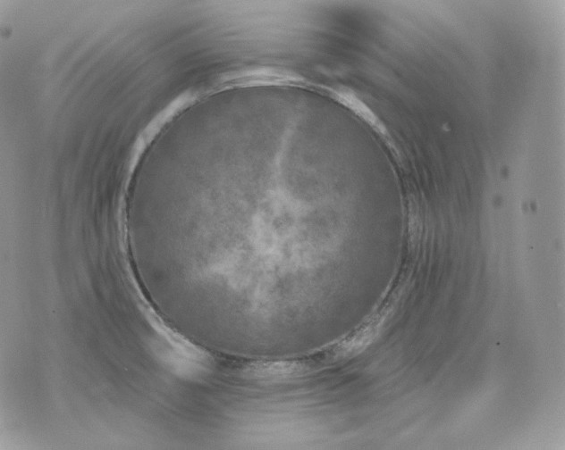 X0000076301474200609291023