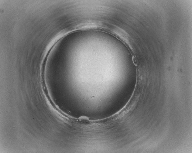 X0000076301475200609291023