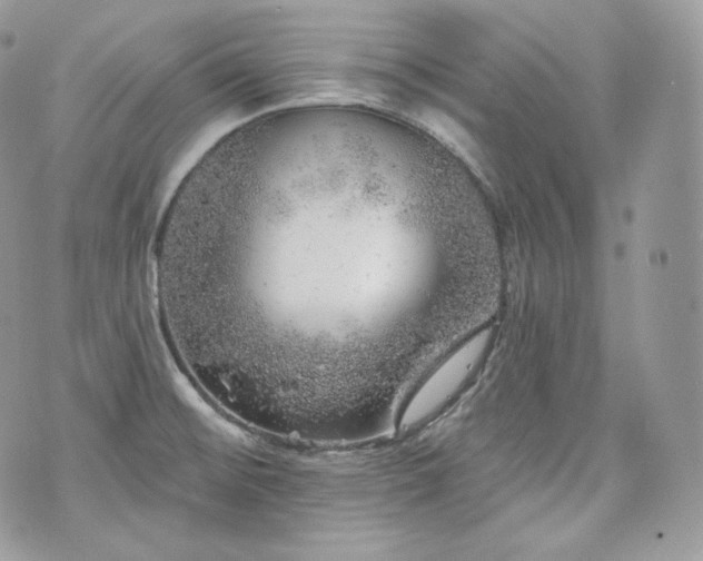 X0000076301476200609291023