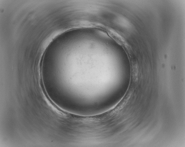 X0000076301479200609291023