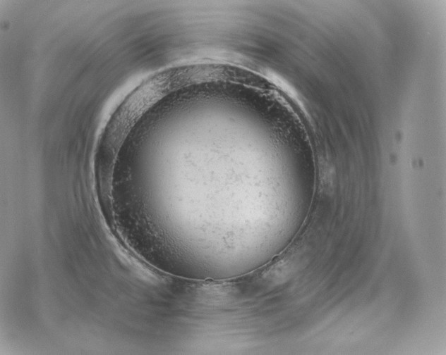 X0000076301480200609291023