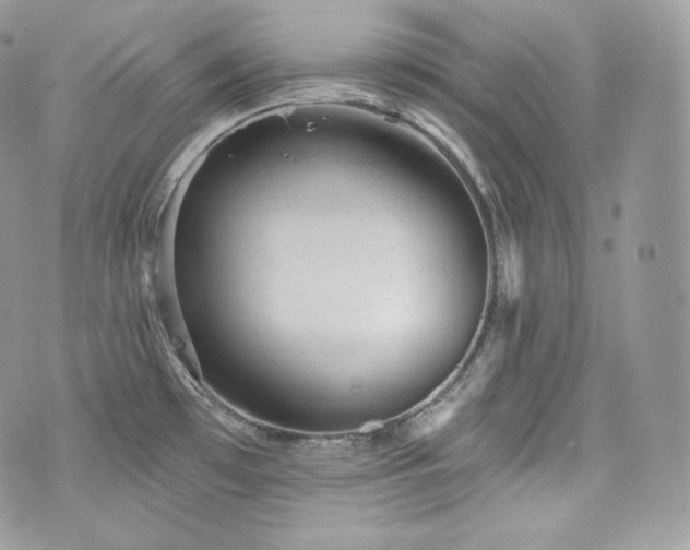 X0000076301481200609291023