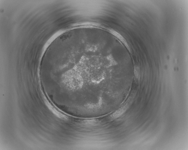 X0000076301482200609291023