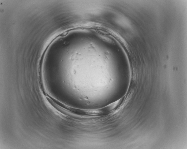 X0000076301483200609291023