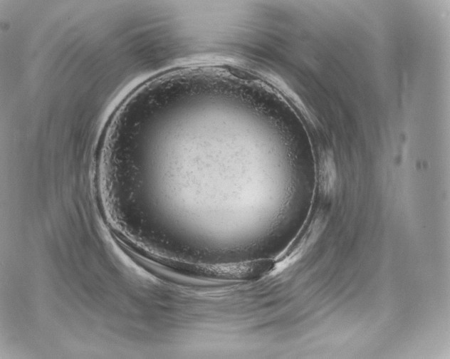 X0000076301484200609291023