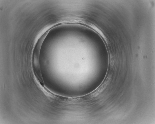 X0000076301485200609291023