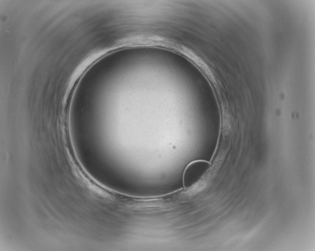 X0000076301486200609291023