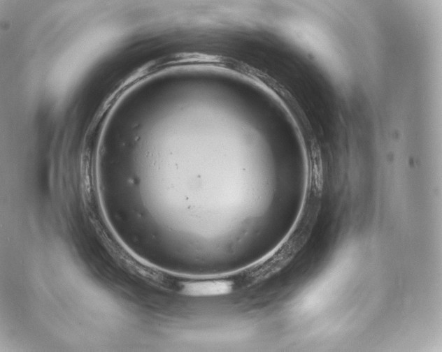 X0000076301487200609291023