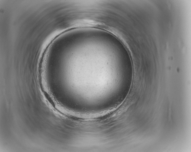 X0000076301488200609291023