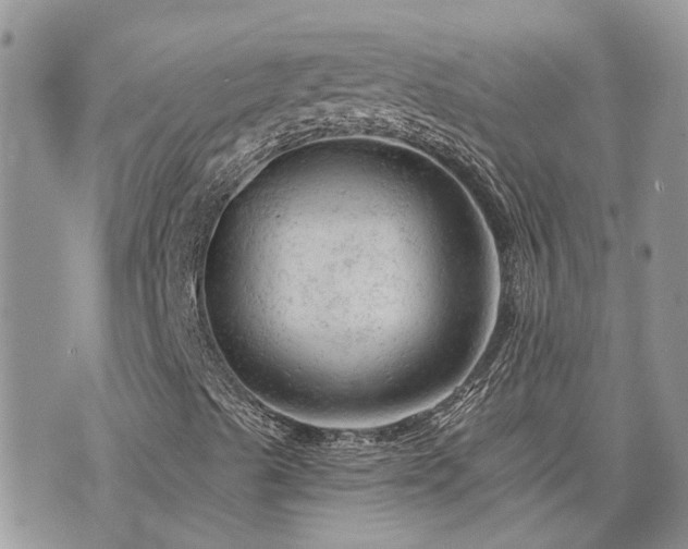 X0000076301489200609291022