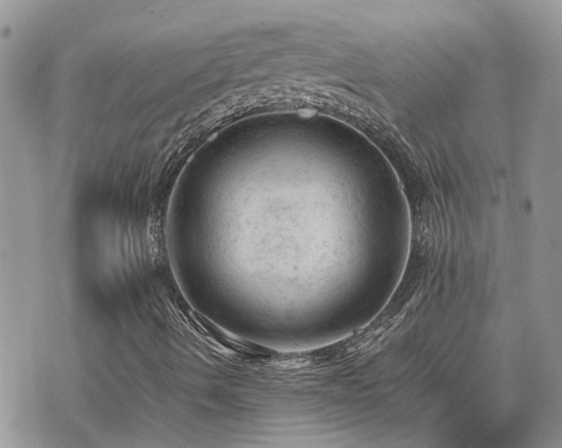 X0000076301490200609291022