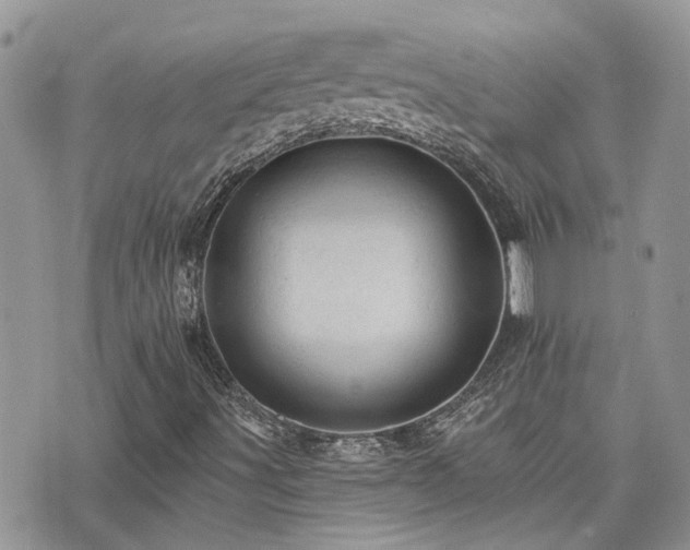 X0000076301491200609291022