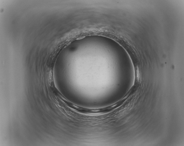 X0000076301492200609291022