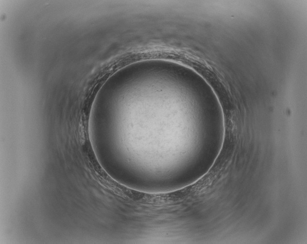 X0000076301493200609291022