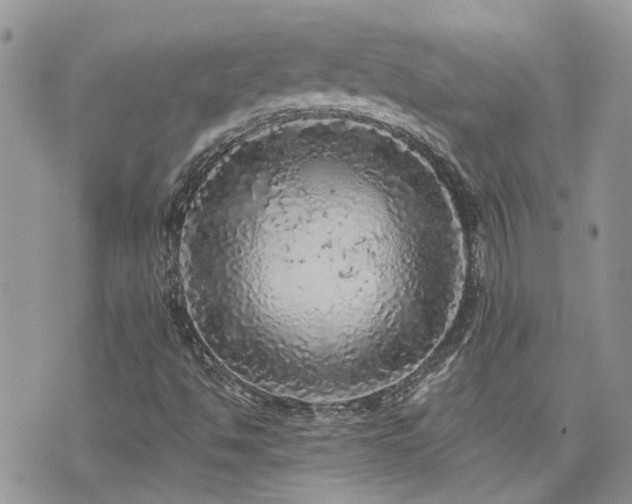 X0000076301494200609291022