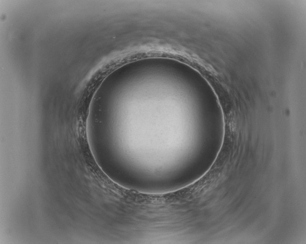 X0000076301495200609291022