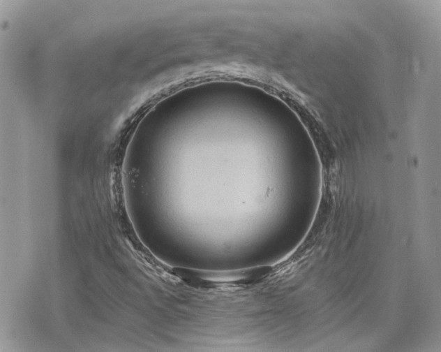 X0000076301496200609291022