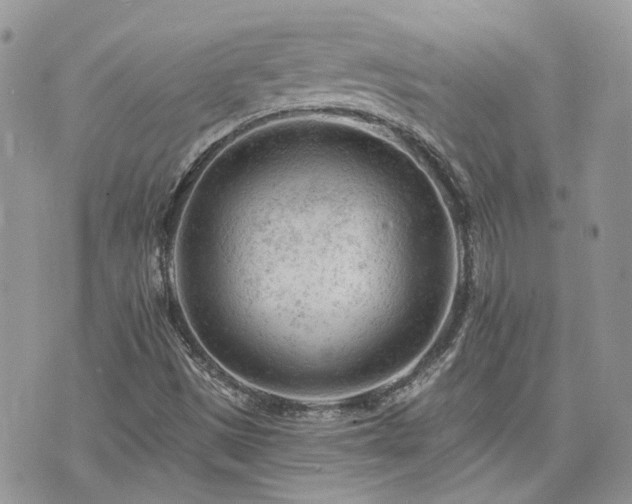 X0000076301497200609291022