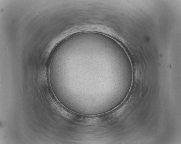 X0000076301498200609291022