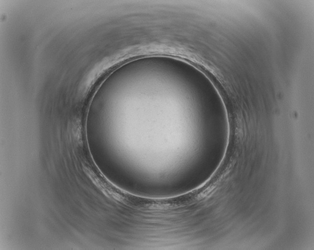 X0000076301499200609291022