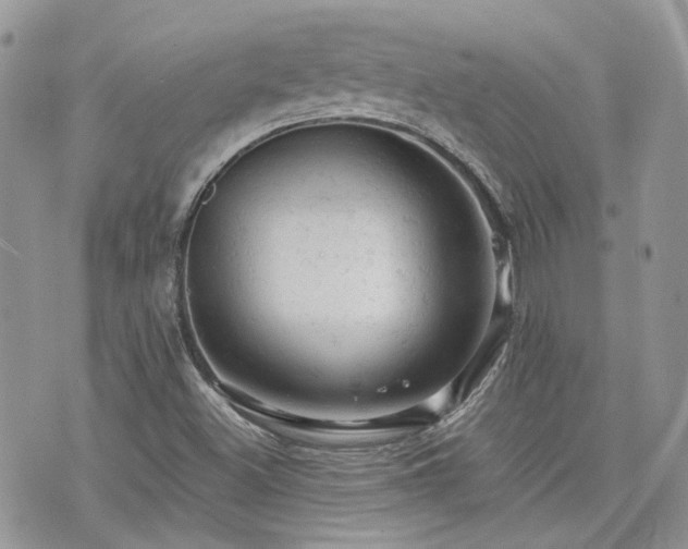 X0000076301500200609291022