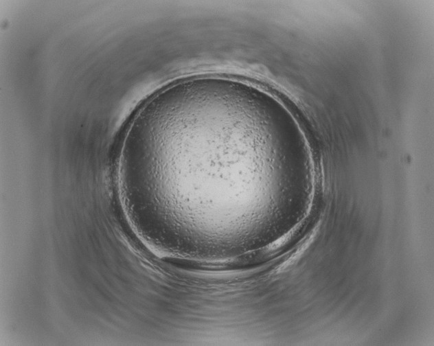 X0000076301501200609291022