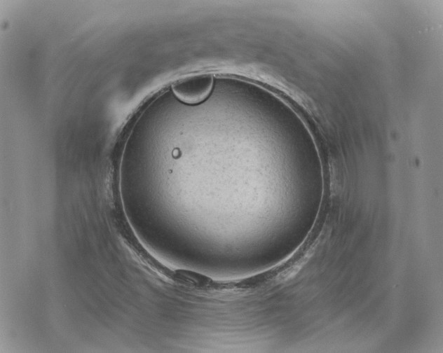 X0000076301502200609291022