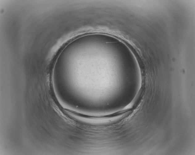 X0000076301503200609291022