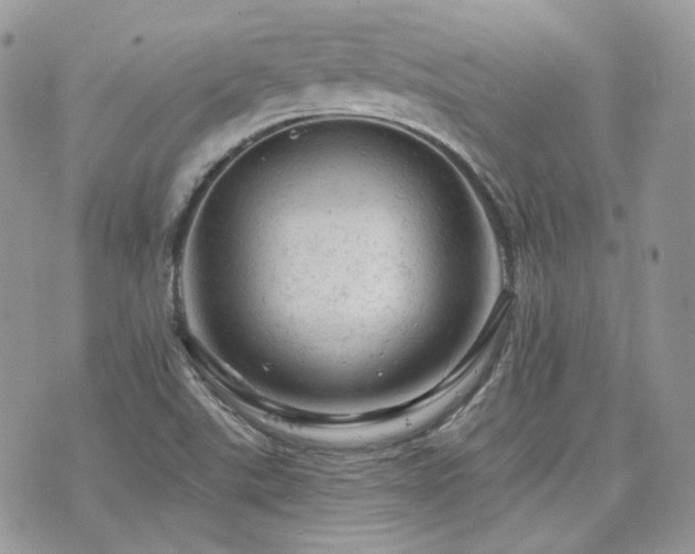 X0000076301507200609291022